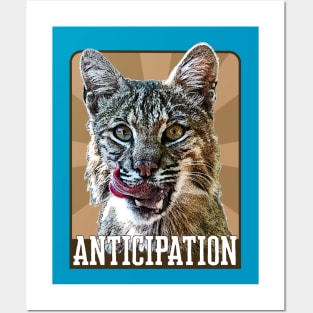 Anticipation- bobcat Posters and Art